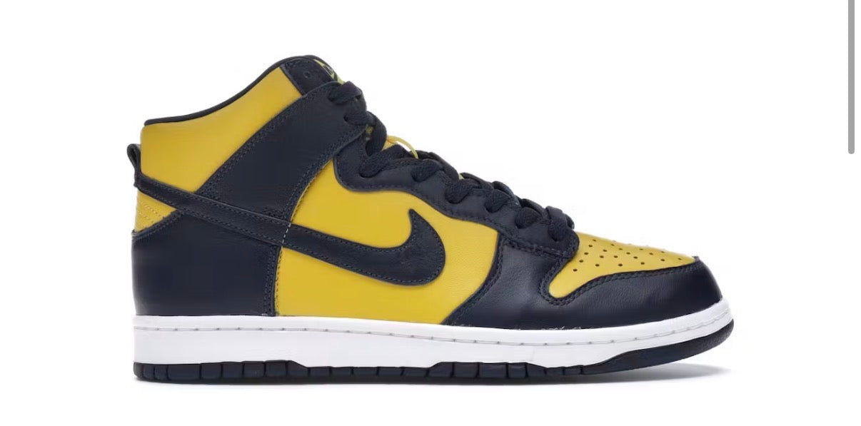 Nike Dunk High Michigan 2020