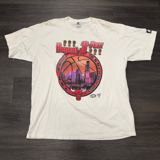 Vintage Bulls Tee