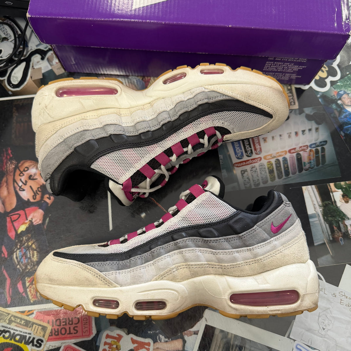 Nike Air Max 95 SB Cactus Flower U9