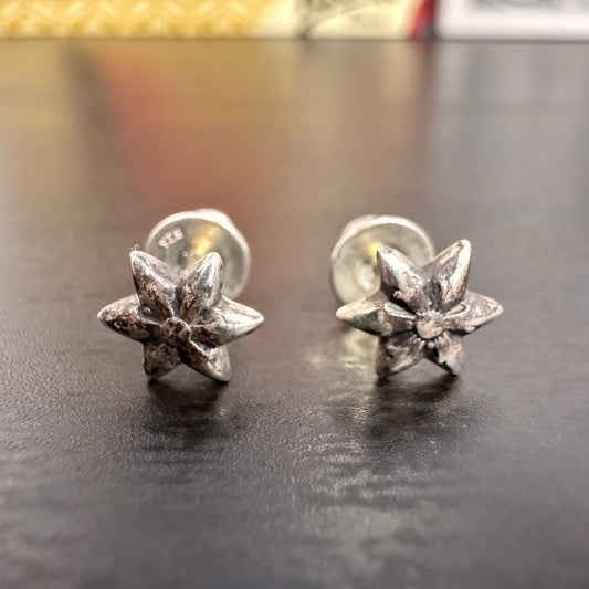 Chrome Hearts Star Earring Set