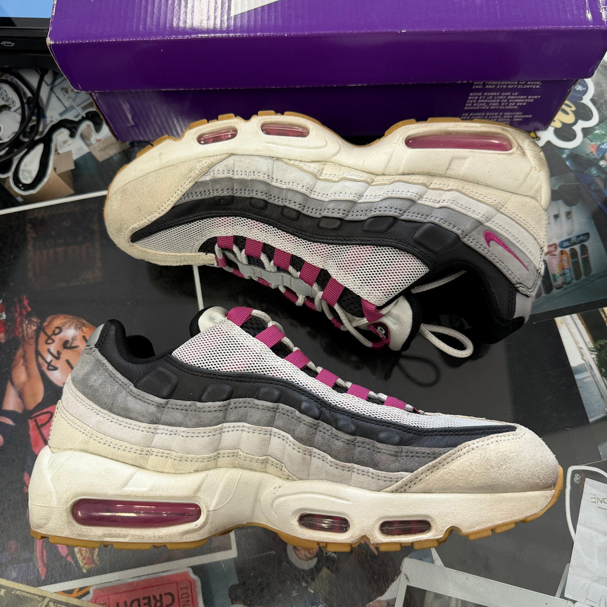 Nike Air Max 95 SB Cactus Flower U9