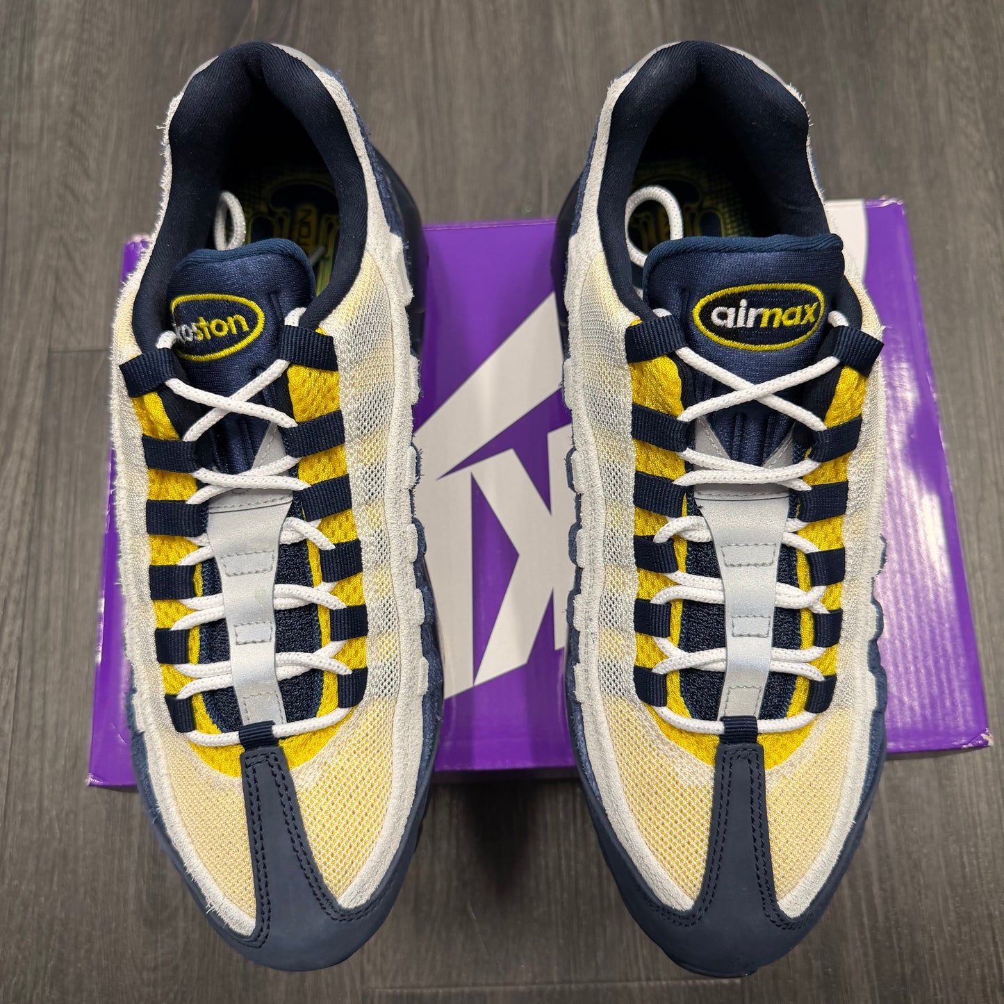 Nike Air Max 95 SB Eric Koston Obsidian Speed Yellow