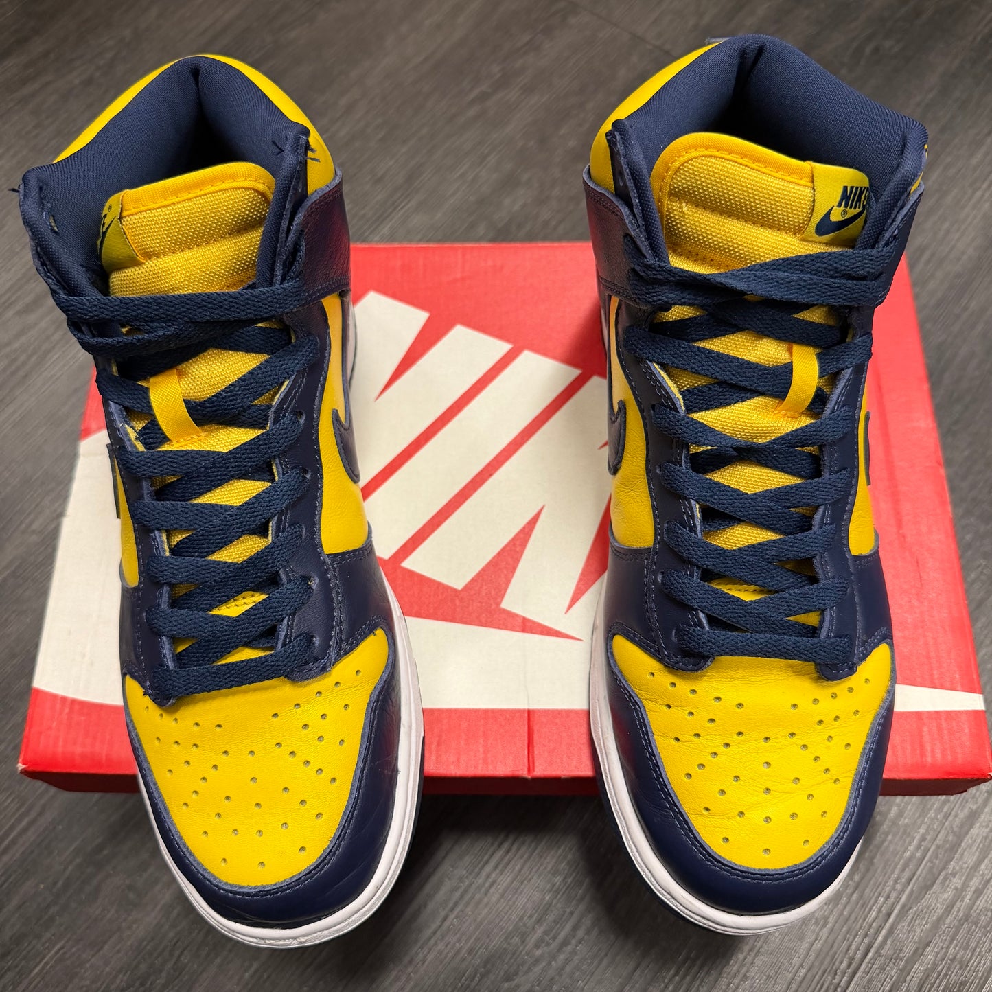 Nike Dunk High Michigan 2020
