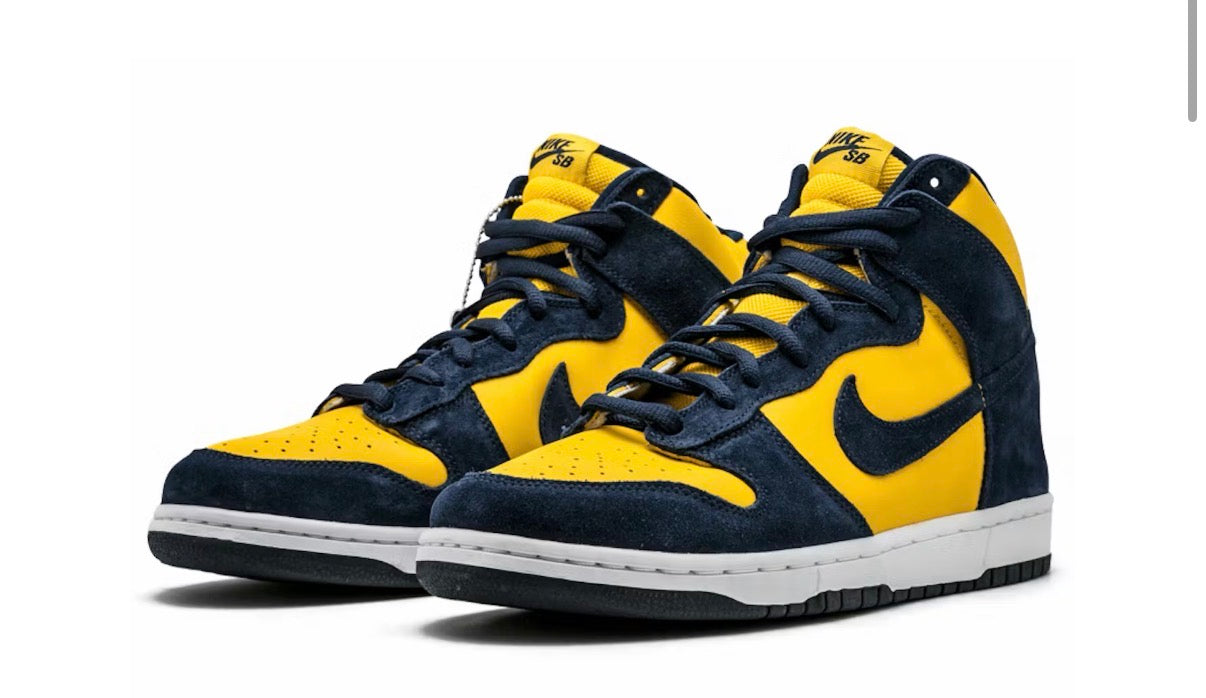 Nike SB Dunk High Pro Michigan (2005)