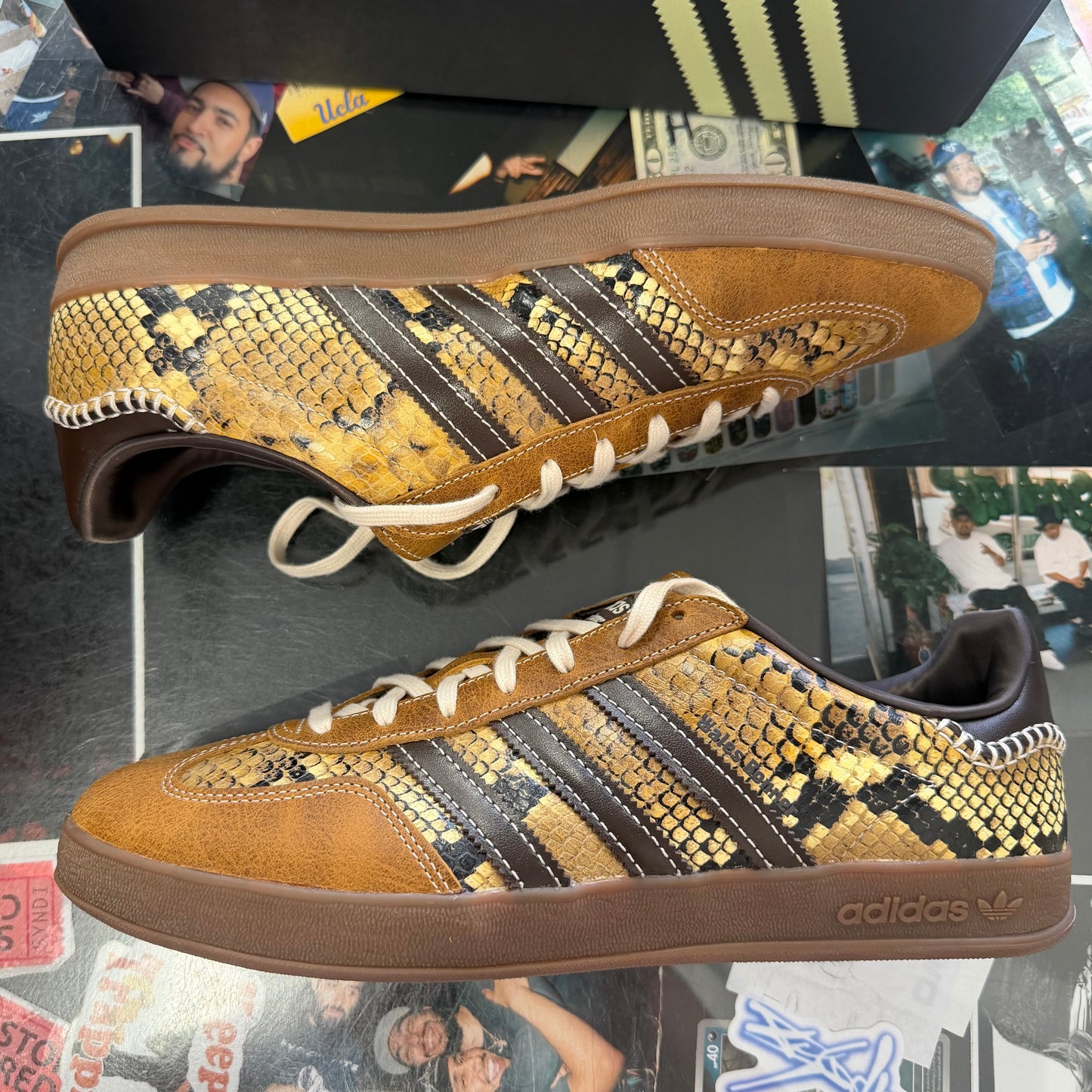 adidas Gazelle Indoor Wales Bonner Snakeskin