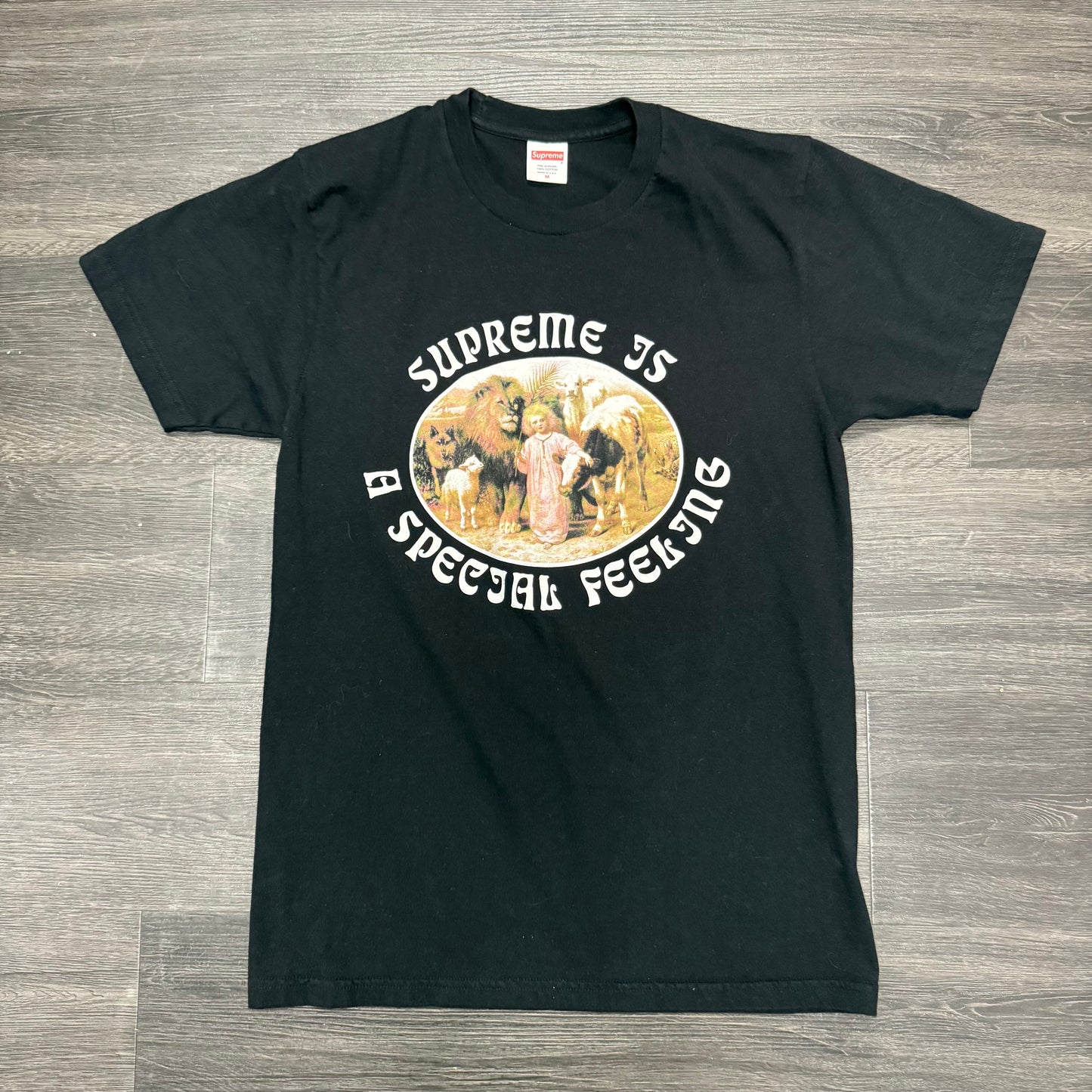 Supreme Special Feeling Tee