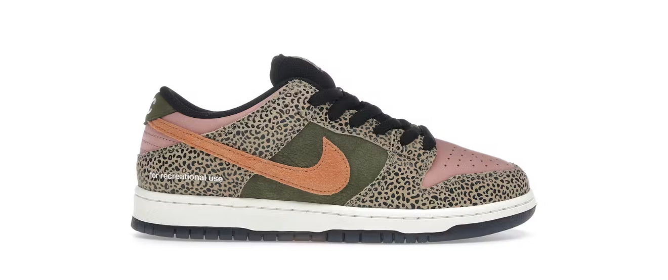 Nike SB Dunk Low Arts-Rec