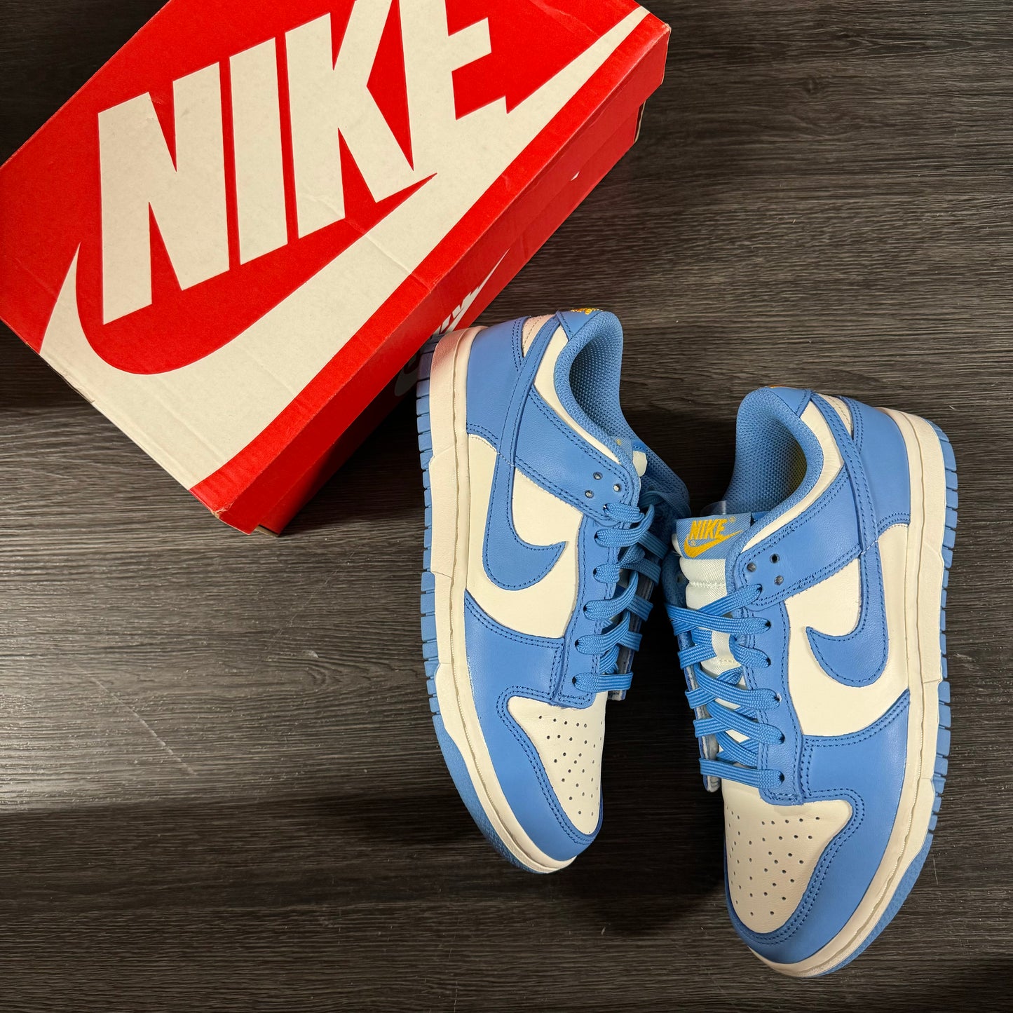 Nike Dunk Low Coast (W) U